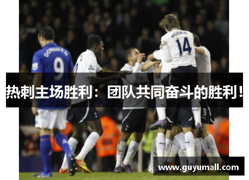 热刺主场胜利：团队共同奋斗的胜利！